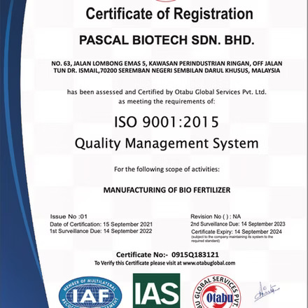 ISO 9001:2015 Quality Management System