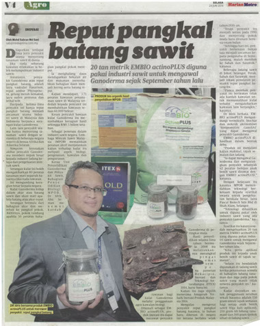 Reput pangkal batang sawit